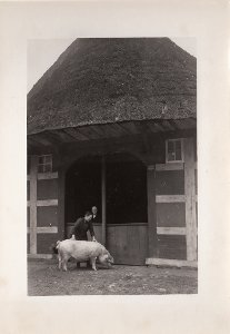 Diepholz, Rehden, Hof Nr. 35, Hallenhaus, Wirtschaftsgiebel