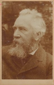 Ernst Haeckel (seitliches Portrait)